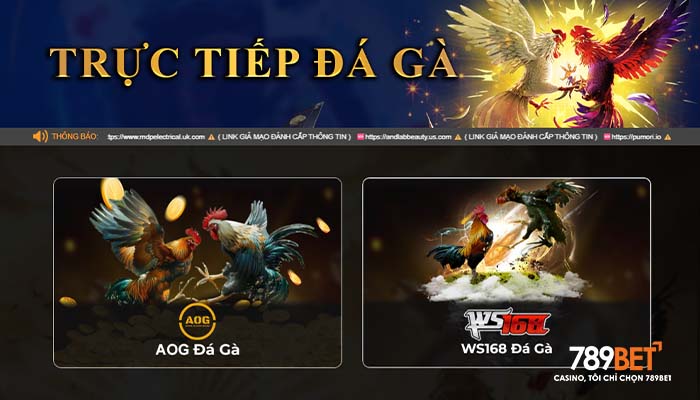 Đá gà trực tiếp uy tín hàng đầu Việt Nam Đá gà trực tiếp uy tín hàng đầu Việt Nam